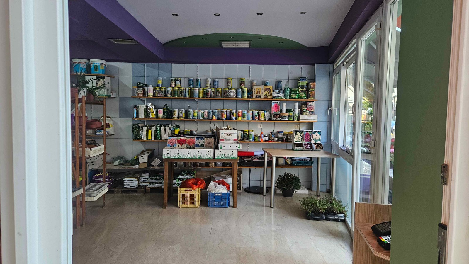 Φυτά στο κατάστημα